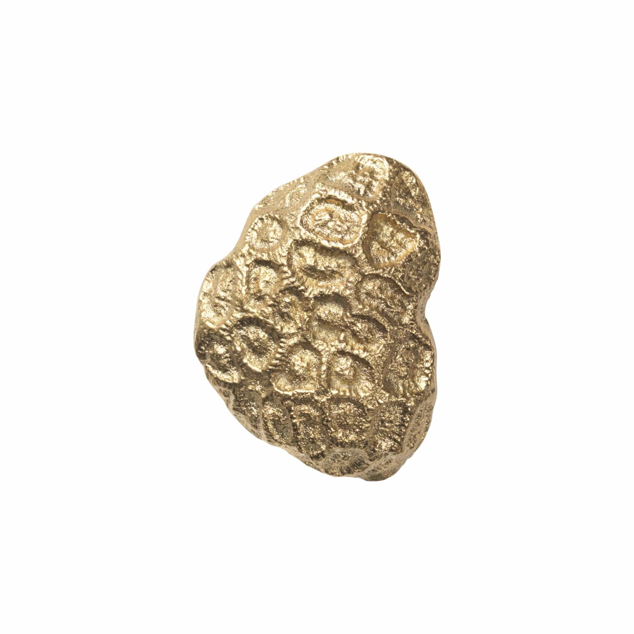 Comber Coral | Knage i Ubehandlet Messing L 3 mm x B 6 mm Ferm Living FL-1104270838 FINICC